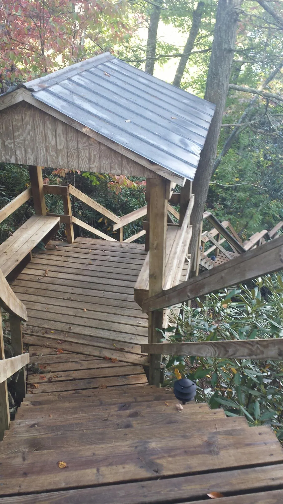 Metal roofed shelter over wooden steps on a wooded walkway — Skylight Repair & Installation work by our crew in Ormond Beach